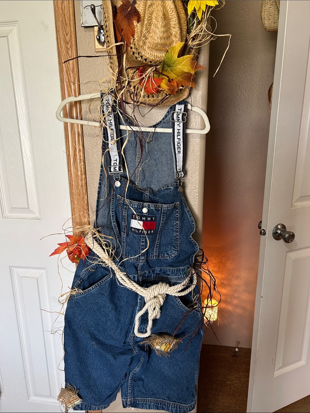 SCARECROW Costume - Picture 5 of 5